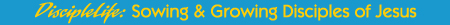 DiscipleLife: Sowing & Growing Disciples of Jesus